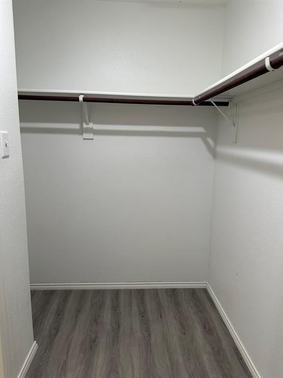 Spacious closet featuring wood finished floors