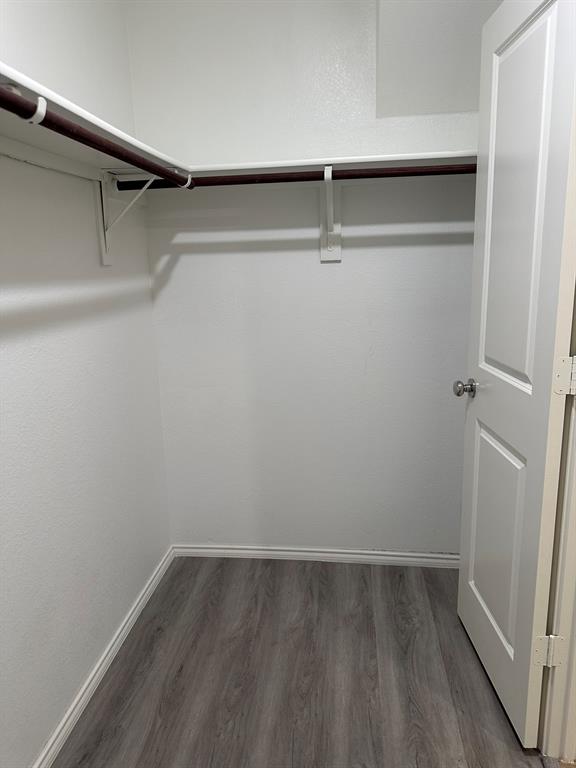 Walk in closet with wood finished floors