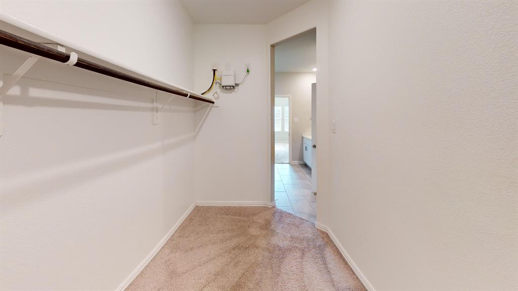 Carpeted walk-in closet with built-in shelving and hanging rod