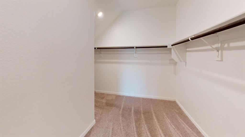 Neutral-toned carpeting, white walls, built-in shelving, and clothes rods