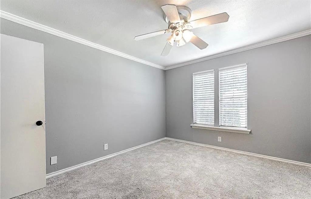 Spacious bedroom with neutral gray walls, neutral carpet flooring, and abundant natural light from dual shuttered windows