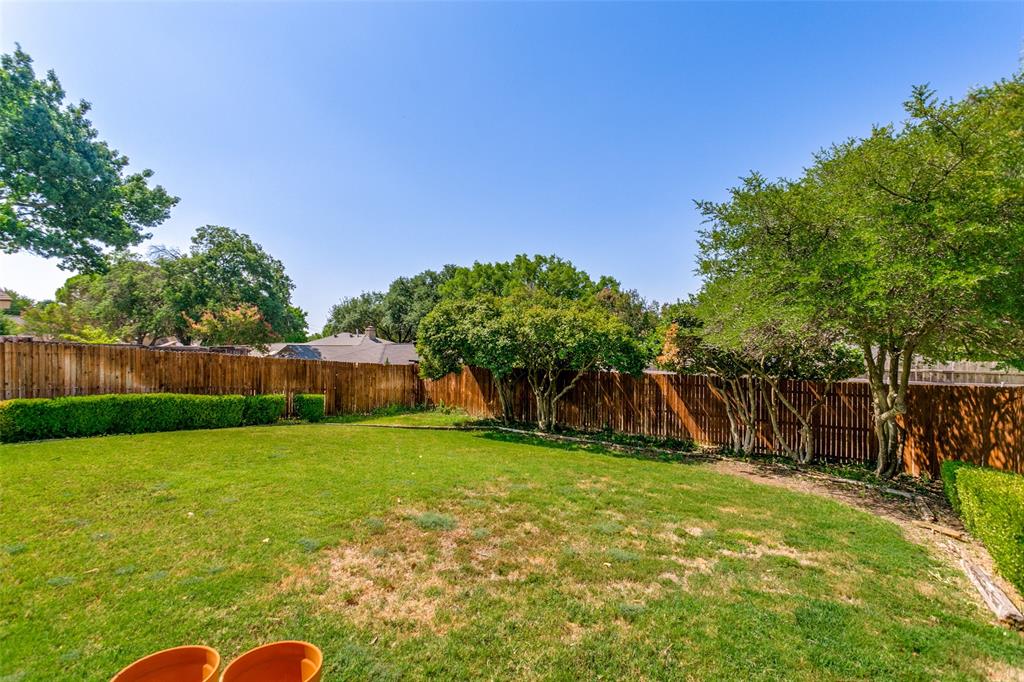 Back Yard