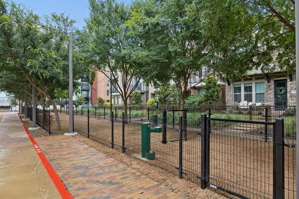 1071 Tea Olive Lane, Dallas, TX 75212