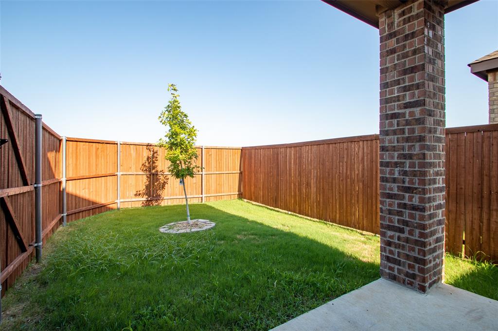 Private backyard with wood fencing, a young tree, and a concrete patio