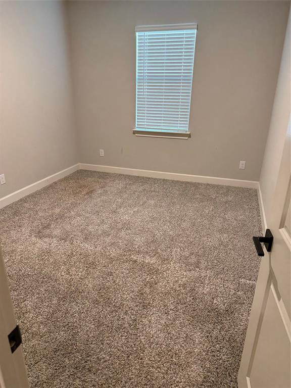 Wall-to-wall carpeting and neutral wall tones