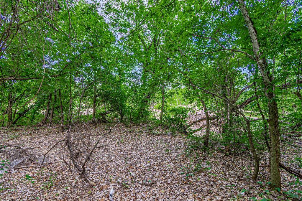 Wooded property with a natural ground covering