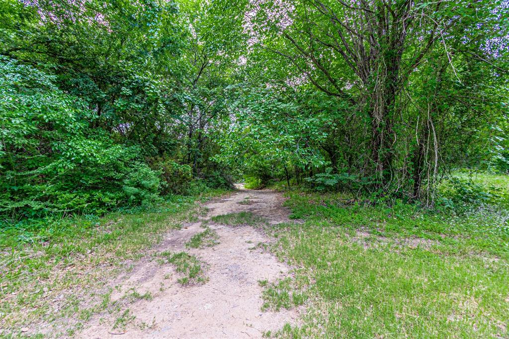 Wooded lot with mature trees and natural landscaping