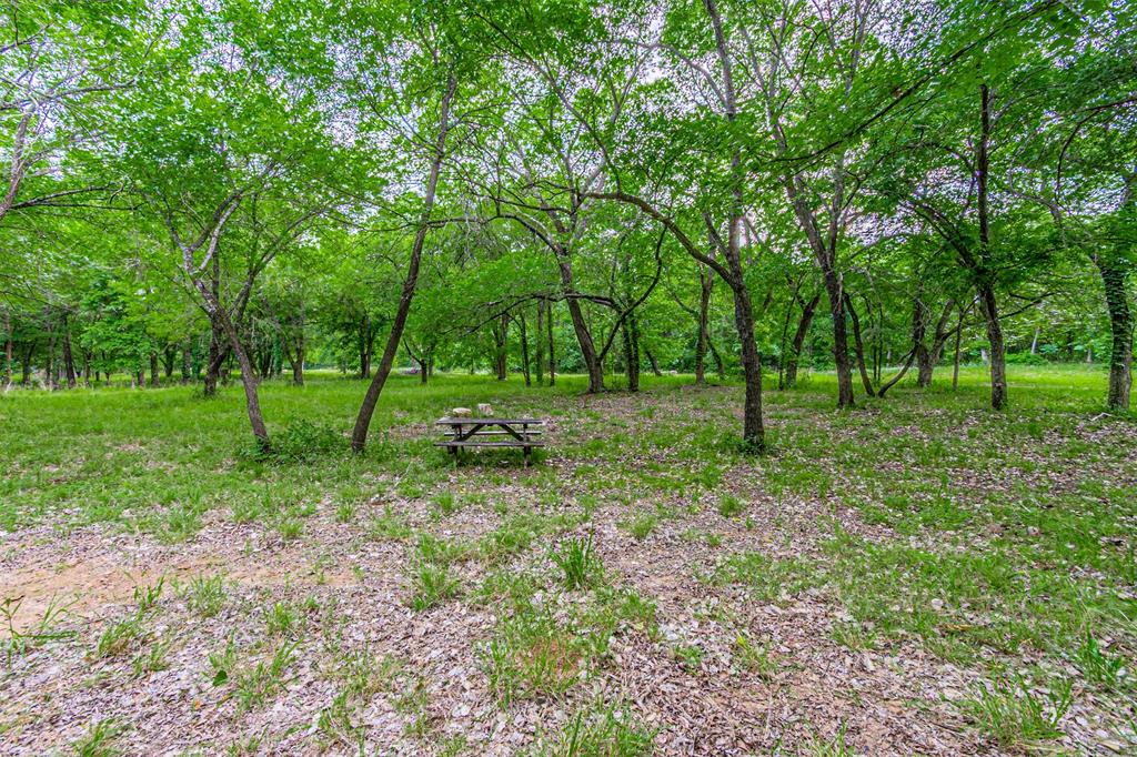 Wooded area featuring mature trees and a picnic table