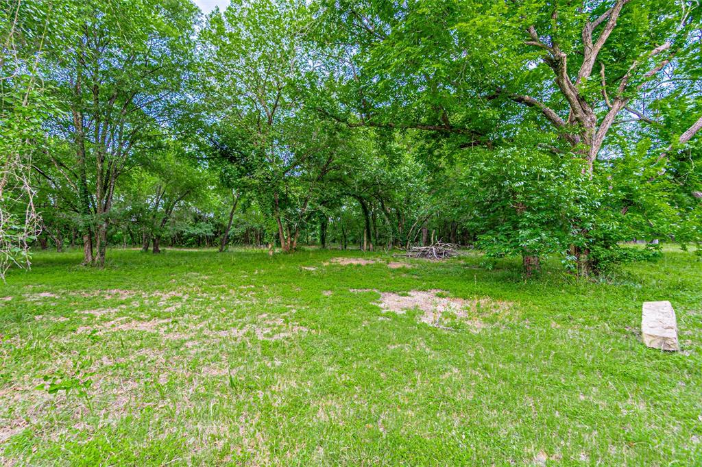 Expansive green space featuring a large grassy area and mature trees