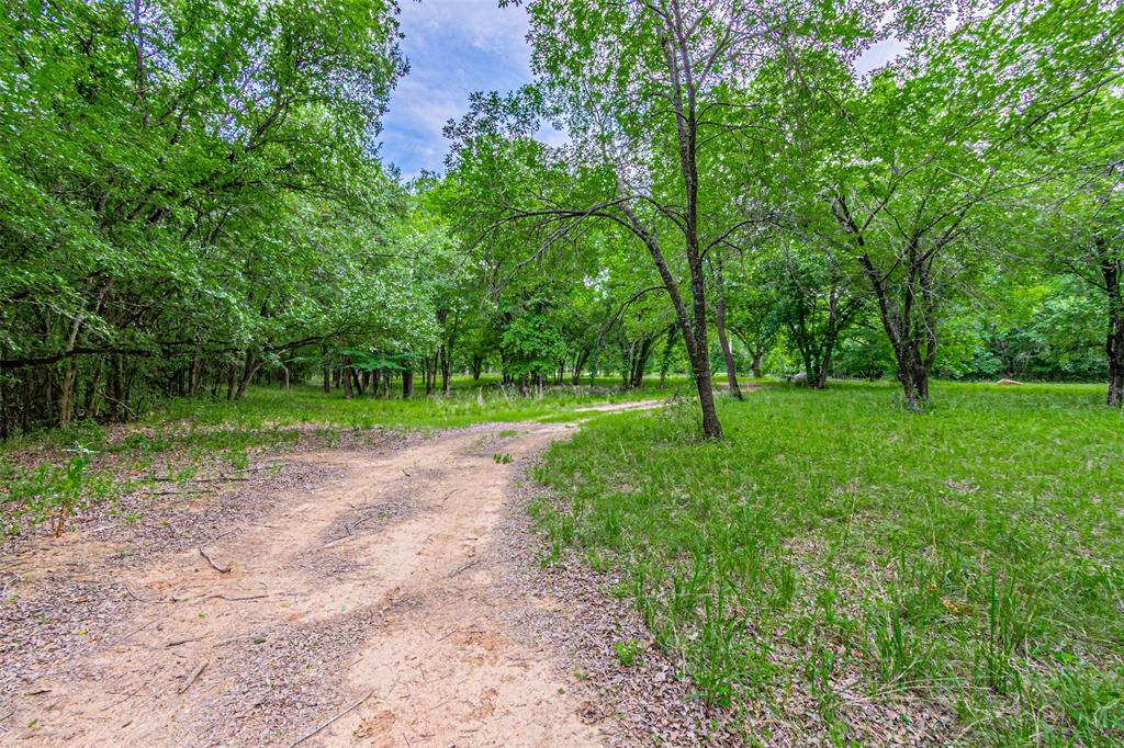 Gravel and dirt pathway through a wooded landscape, featuring abundant green foliage and mature trees