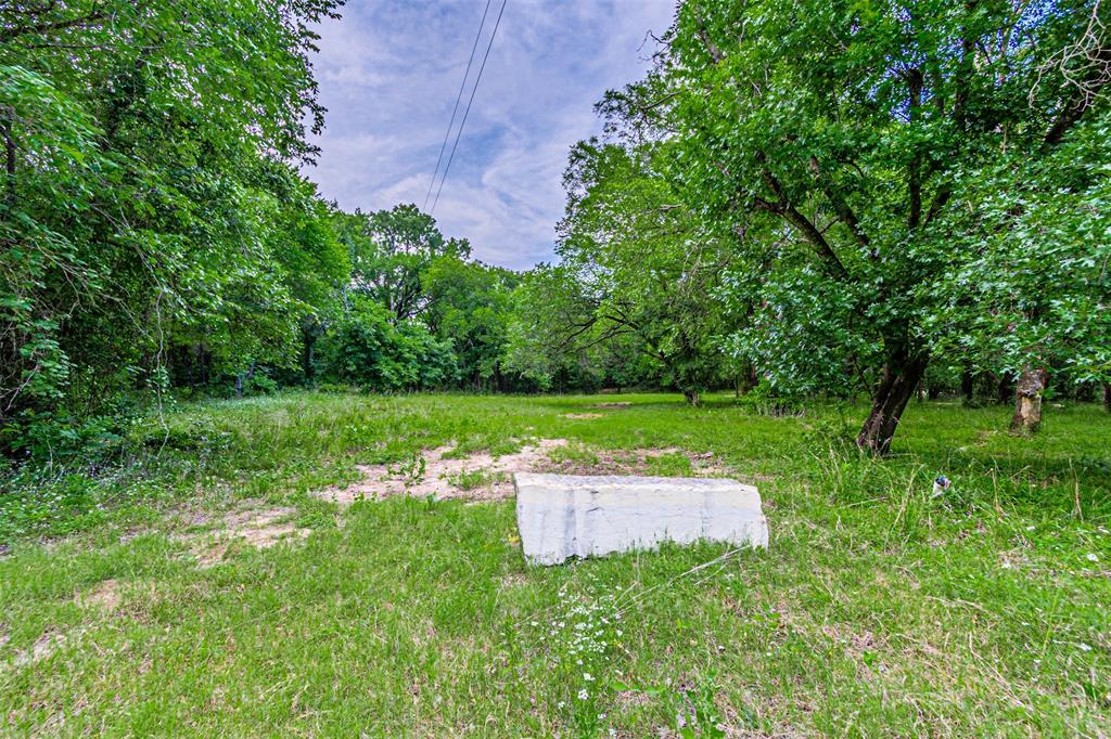 Expansive grassy lot bordered by mature trees