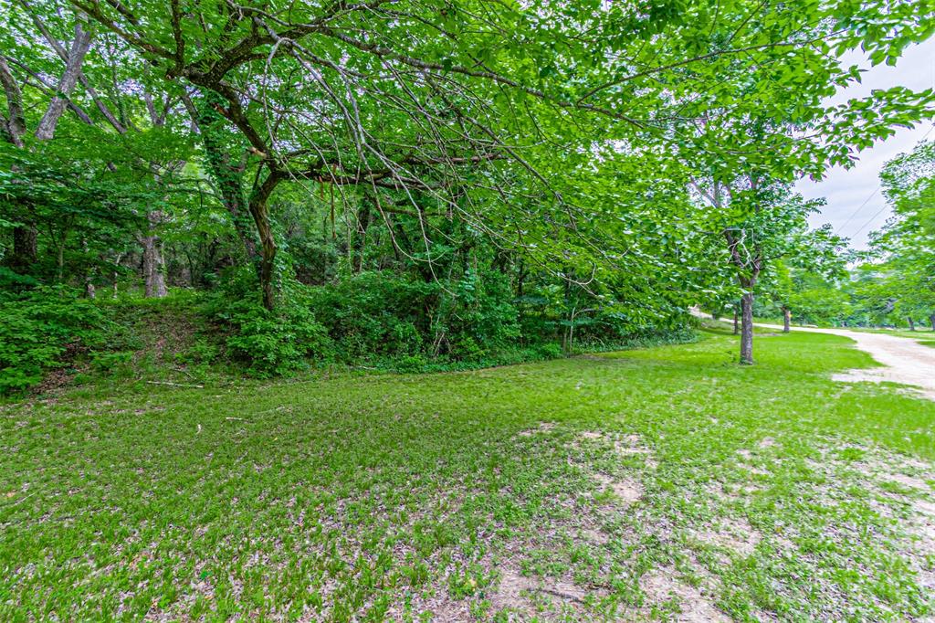 Expansive green space with abundant mature trees and a gravel pathway