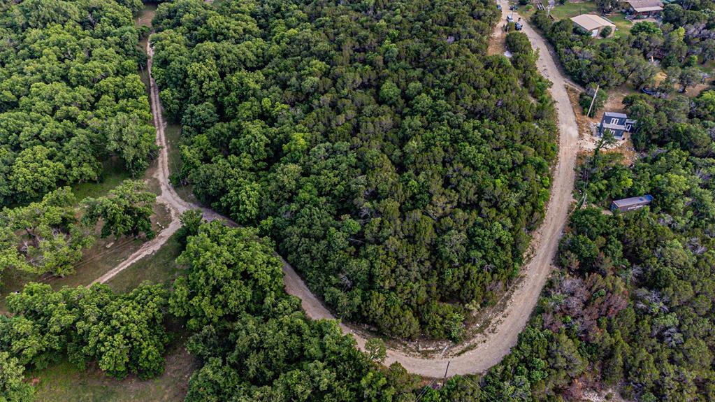 Expansive wooded acreage with a winding unpaved road