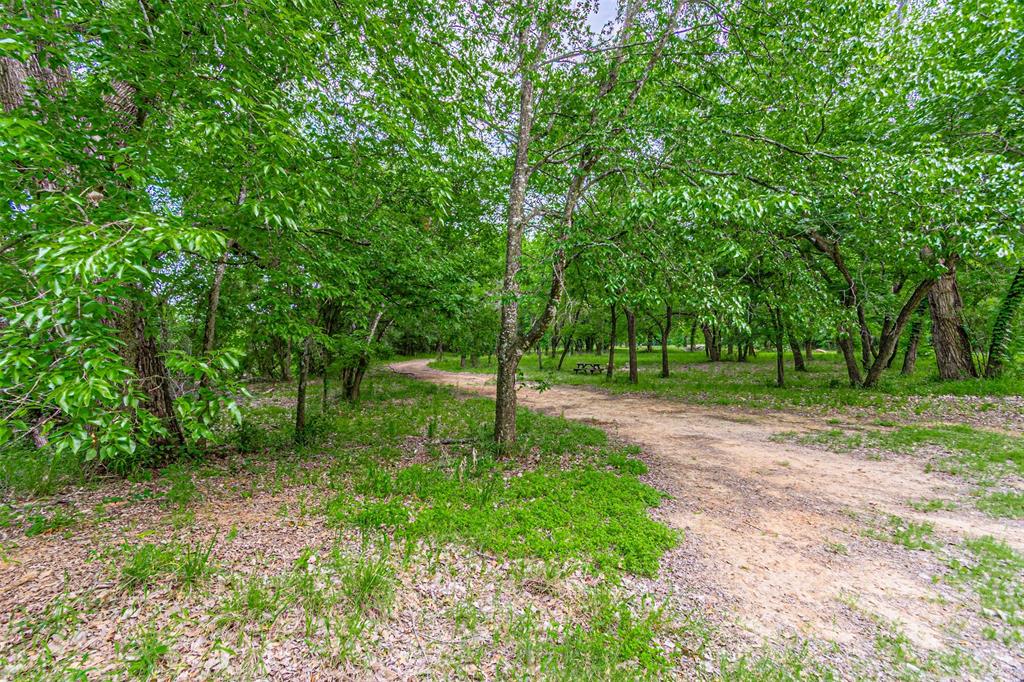 Wooded acreage with a winding natural path, established trees, and open ground