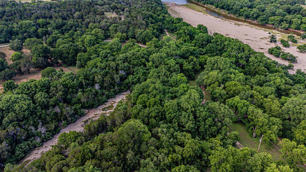 Expansive acreage featuring abundant mature trees and natural terrain