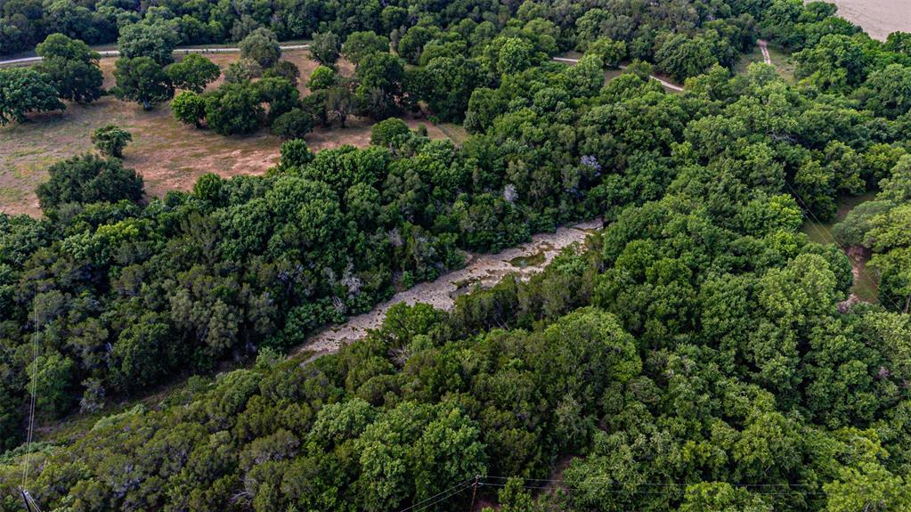 Expansive wooded acreage featuring mature trees and open clearings