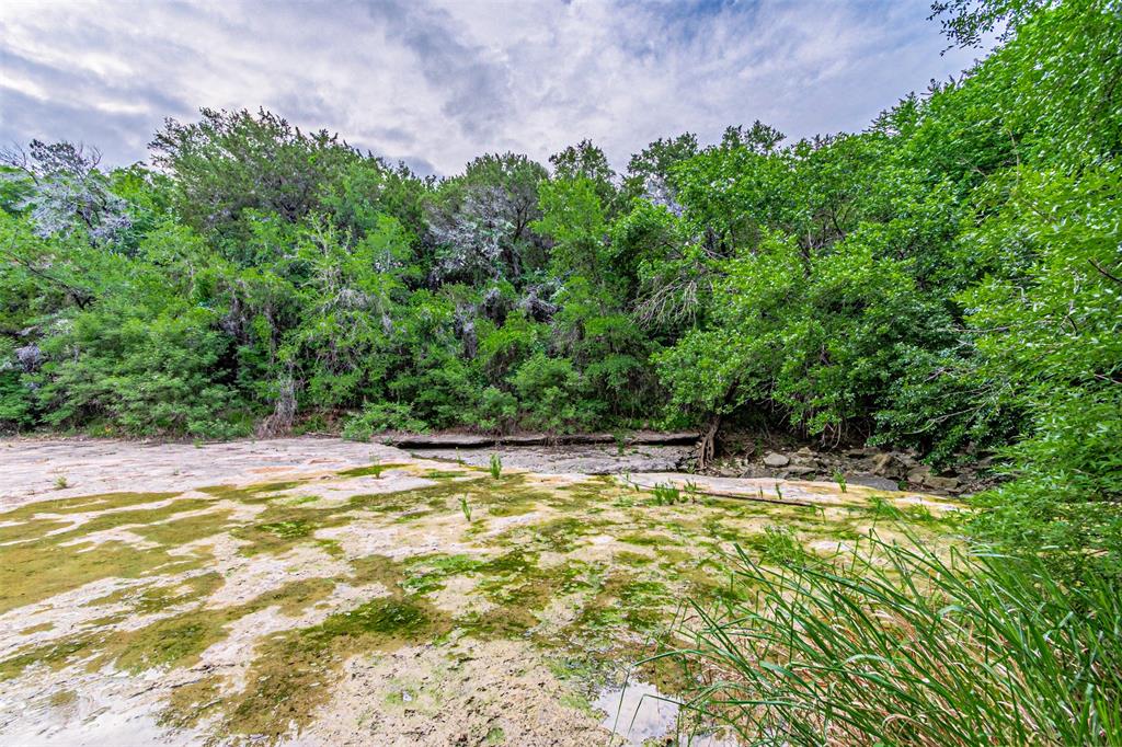 Expansive natural landscape with varied terrain and lush foliage