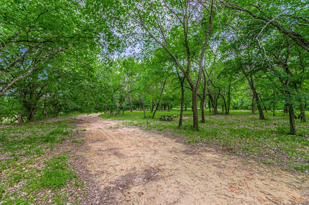 Wooded property featuring a natural path, mature trees, and a picnic table