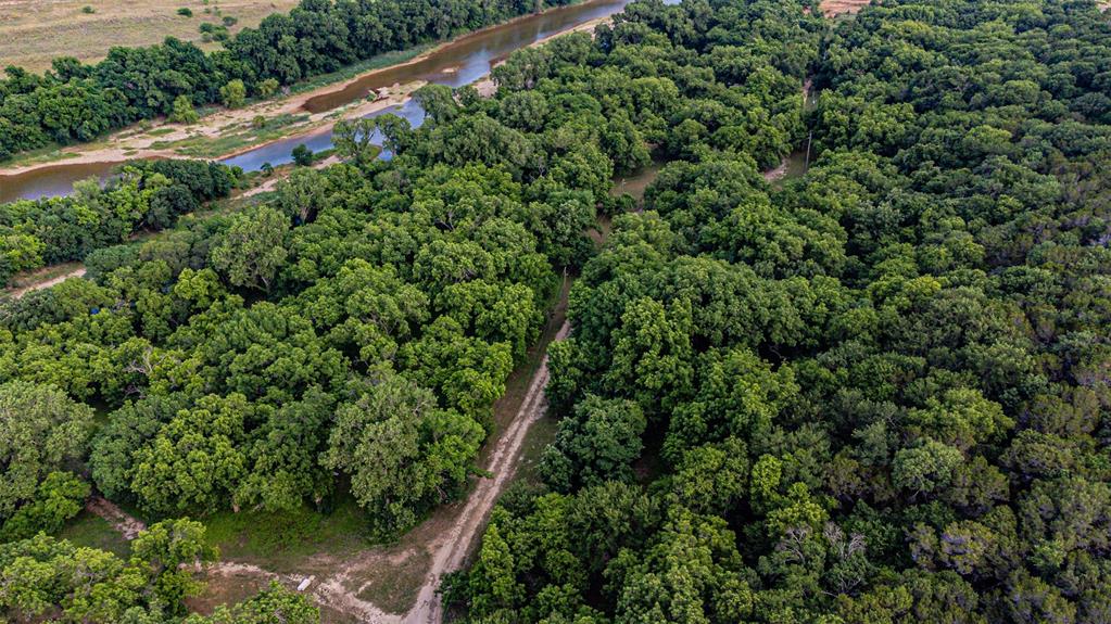 Expansive tree canopy with a river bordering the property