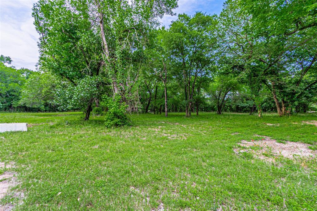 Expansive green space featuring mature trees and established ground cover