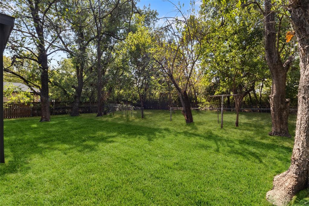 Expansive backyard with a manicured lawn, mature trees, and a privacy fence