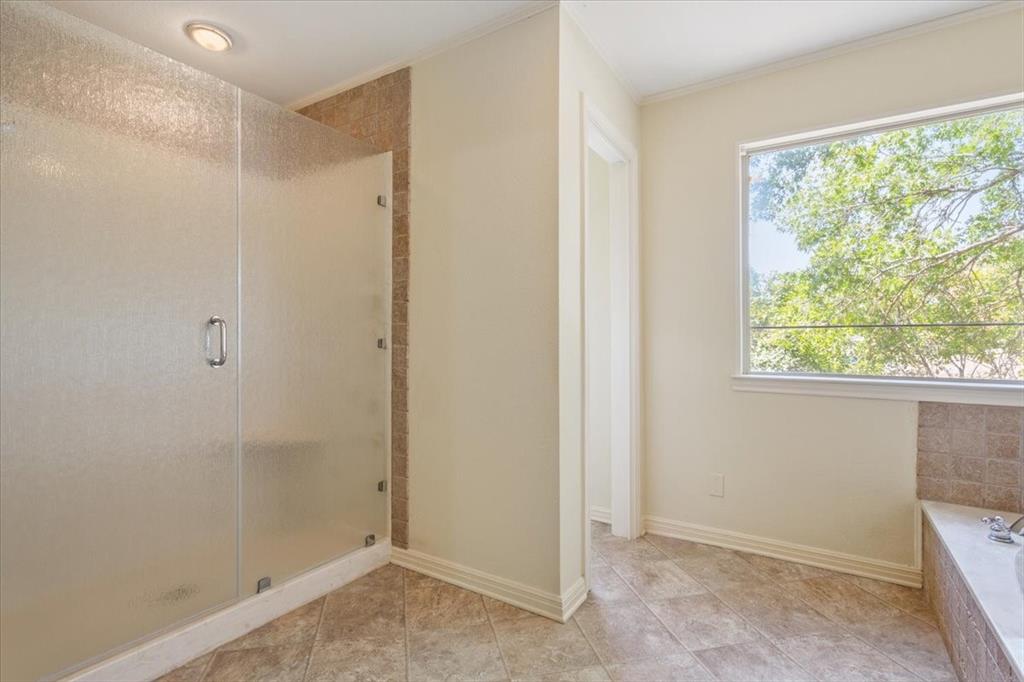 Primary Shower