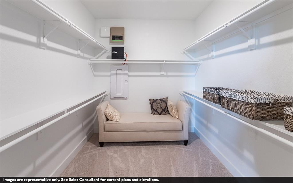 Carpeted flooring with extensive built-in shelving, and multiple hanging rods