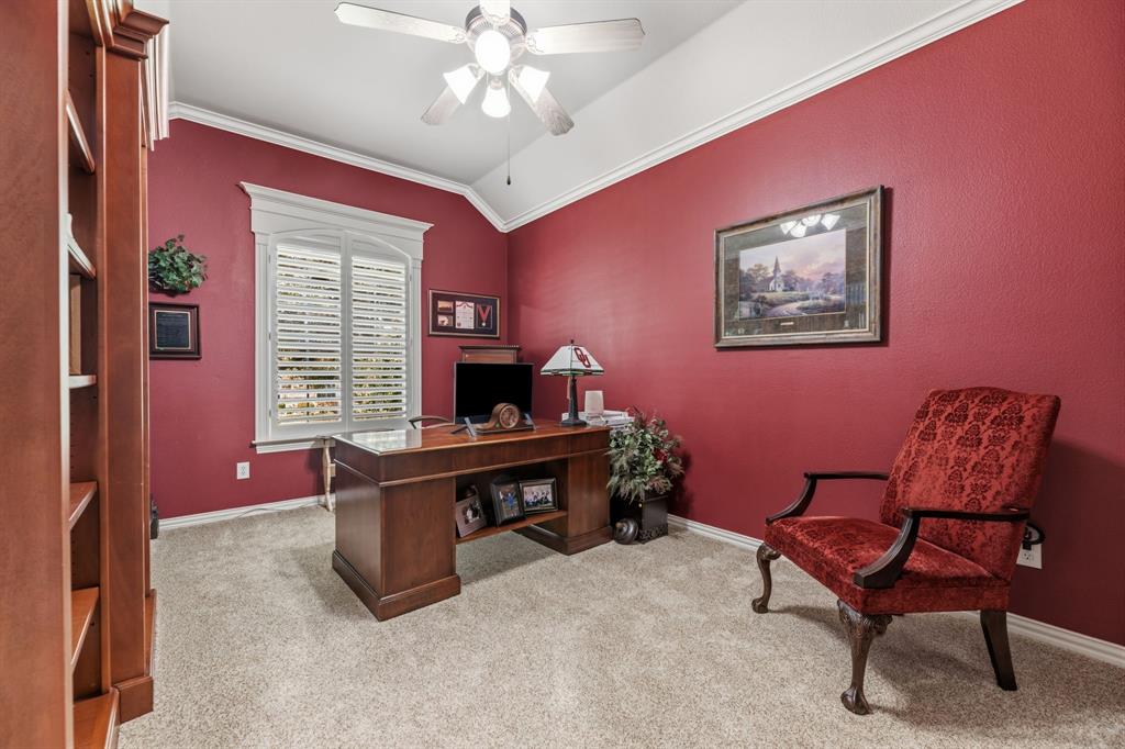 919 Quarry Oaks Drive, Fairview, TX 75069