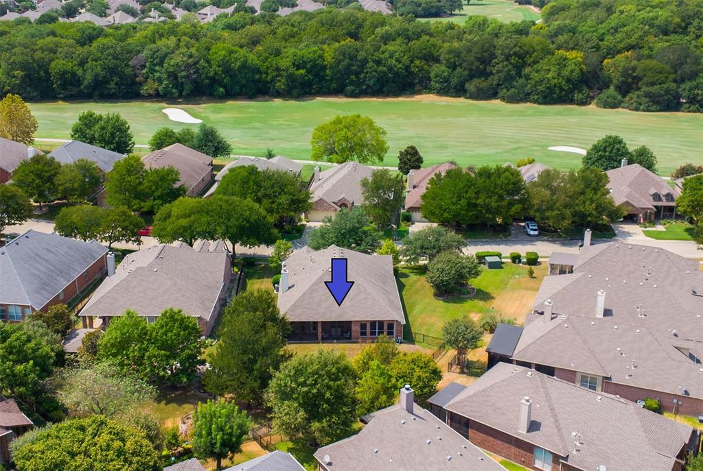 919 Quarry Oaks Drive, Fairview, TX 75069