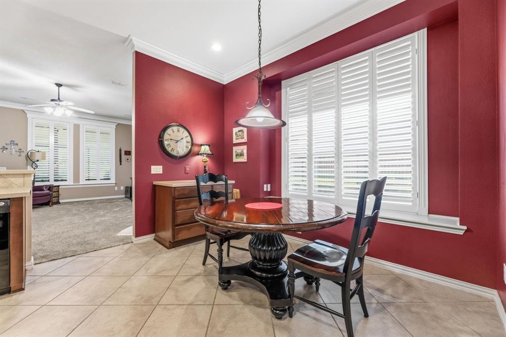 919 Quarry Oaks Drive, Fairview, TX 75069