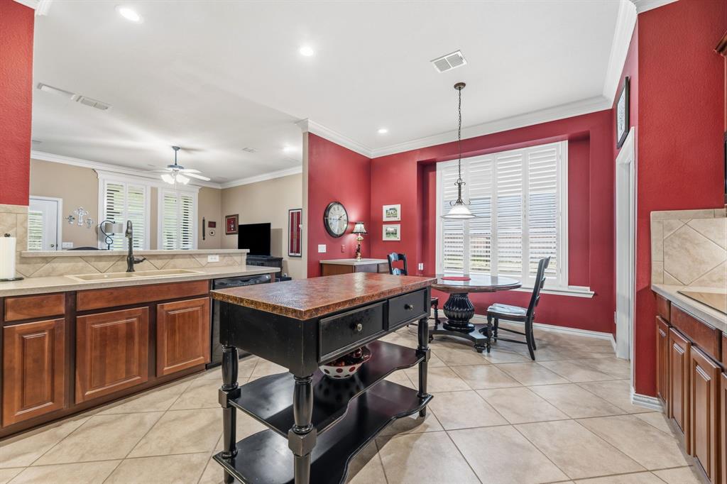 919 Quarry Oaks Drive, Fairview, TX 75069