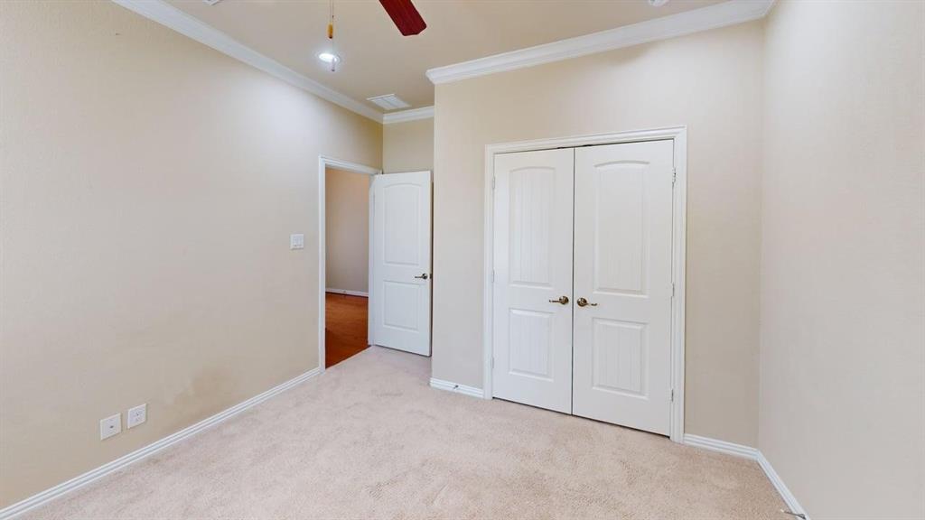 Plush carpet flooring, crown molding, white trim, and a ceiling fan with integrated lighting