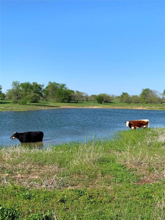 000 35 ac. Rattler Hill Road, McGregor, TX 76657