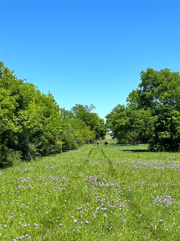 000 35 ac. Rattler Hill Road, McGregor, TX 76657