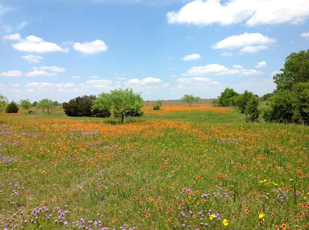 000 35 ac. Rattler Hill Road, McGregor, TX 76657