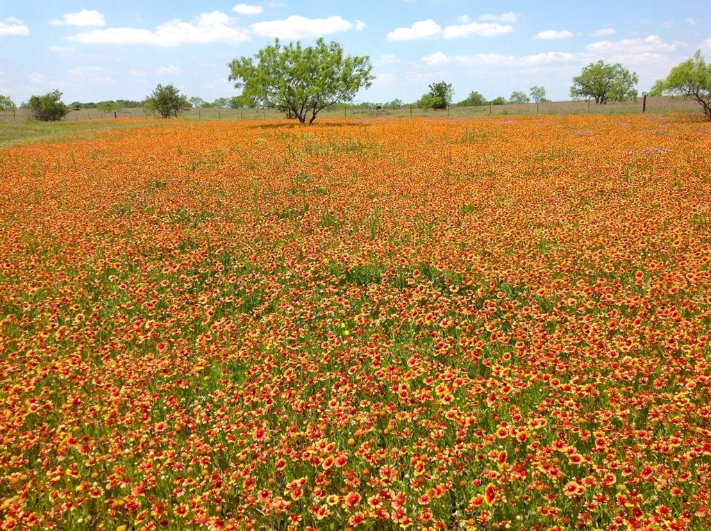 000 35 ac. Rattler Hill Road, McGregor, TX 76657