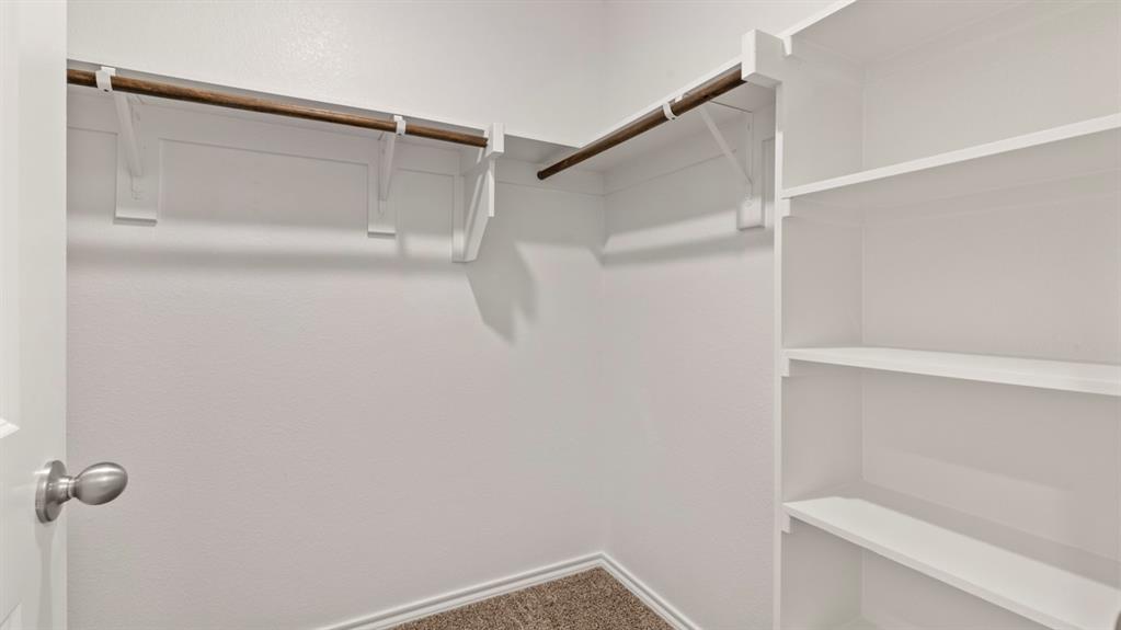 Built-in shelving, two hanging rods, and carpeting