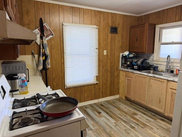 407 Julius Street, Riesel, TX 76682 407 Julius Street, Riesel, TX 76682