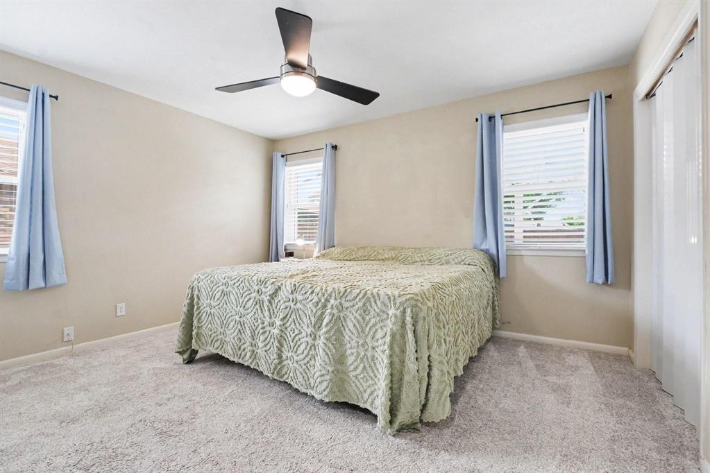 Neutral wall color, ceiling fan with integrated lighting, two windows with blinds, and light-colored carpeting