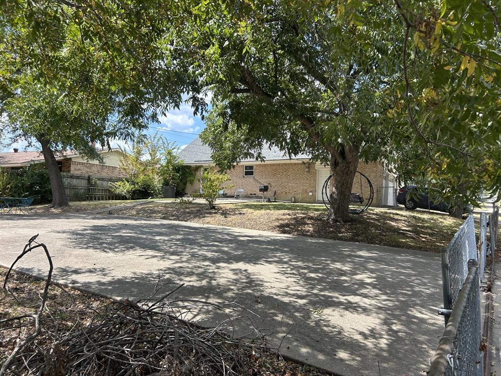 Back yard