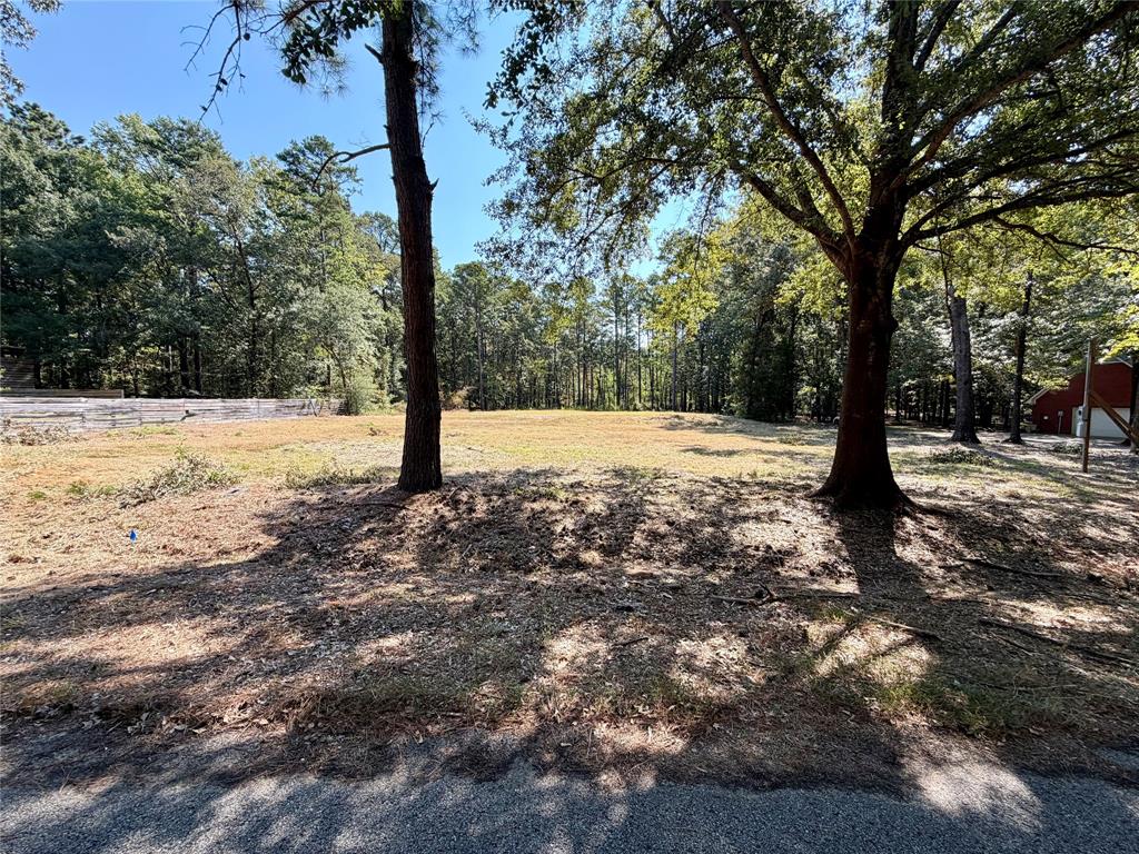 18084 Deer Trail, Flint, TX 75762