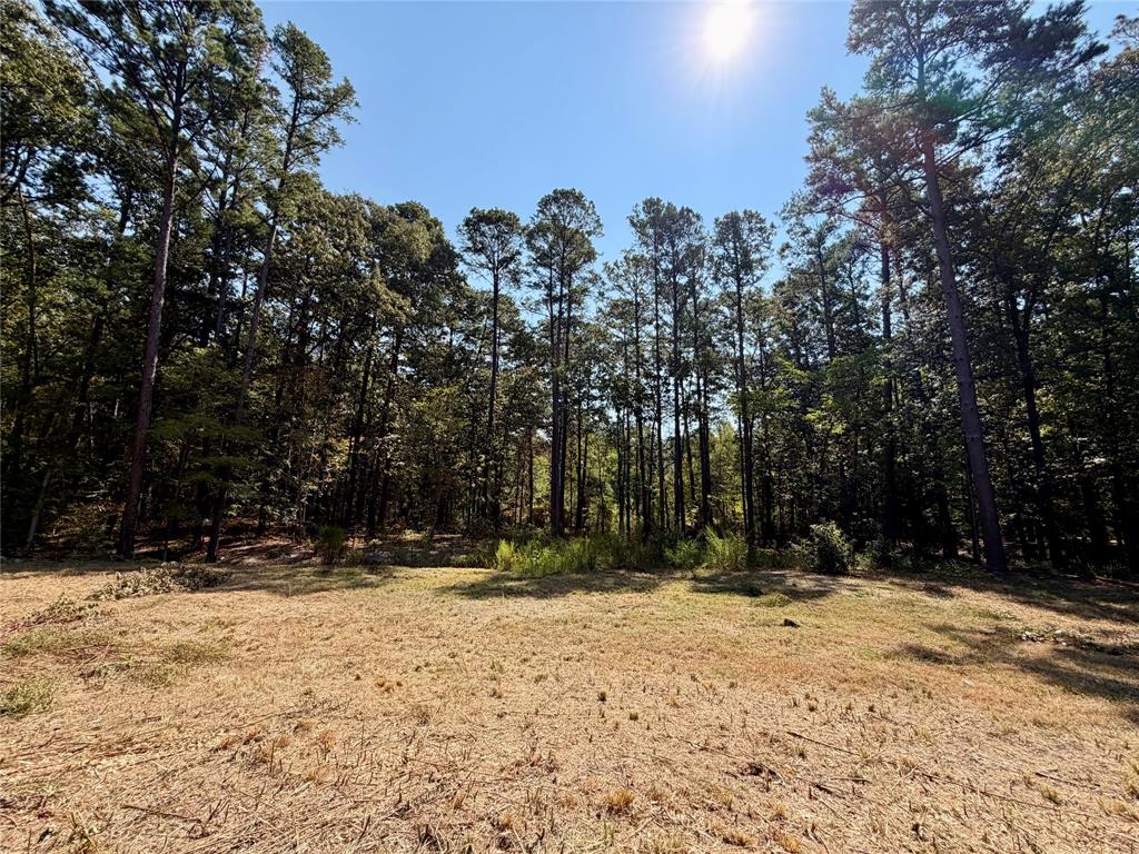 18084 Deer Trail, Flint, TX 75762
