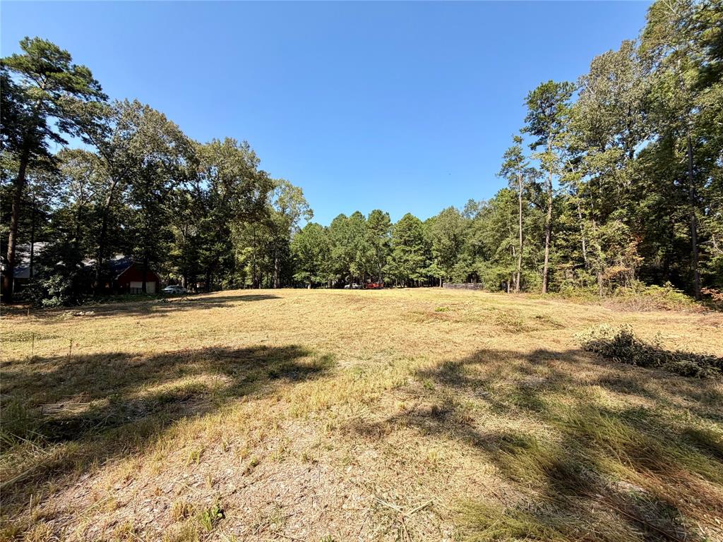 18084 Deer Trail, Flint, TX 75762