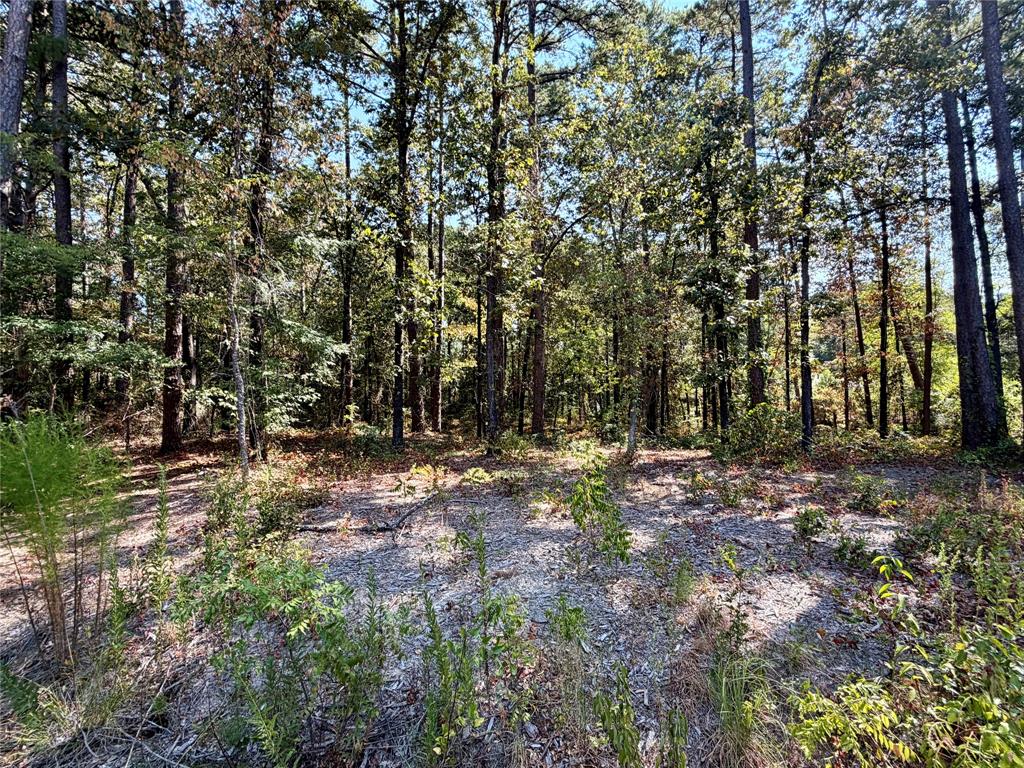 18084 Deer Trail, Flint, TX 75762