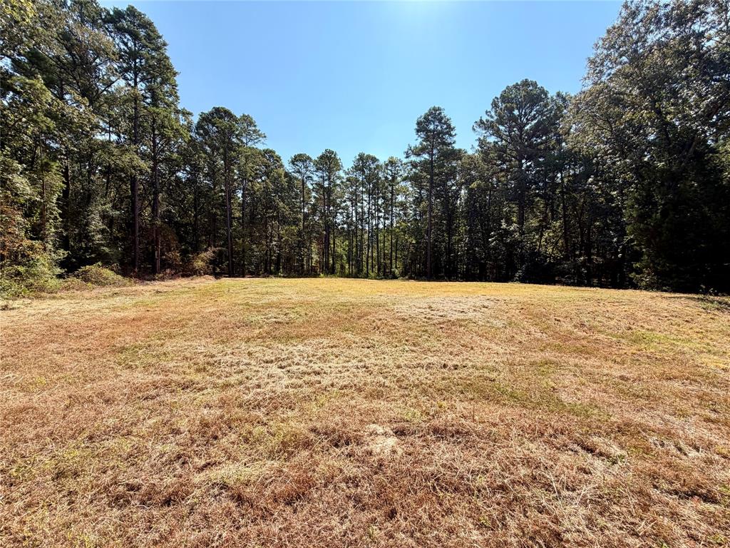 18084 Deer Trail, Flint, TX 75762