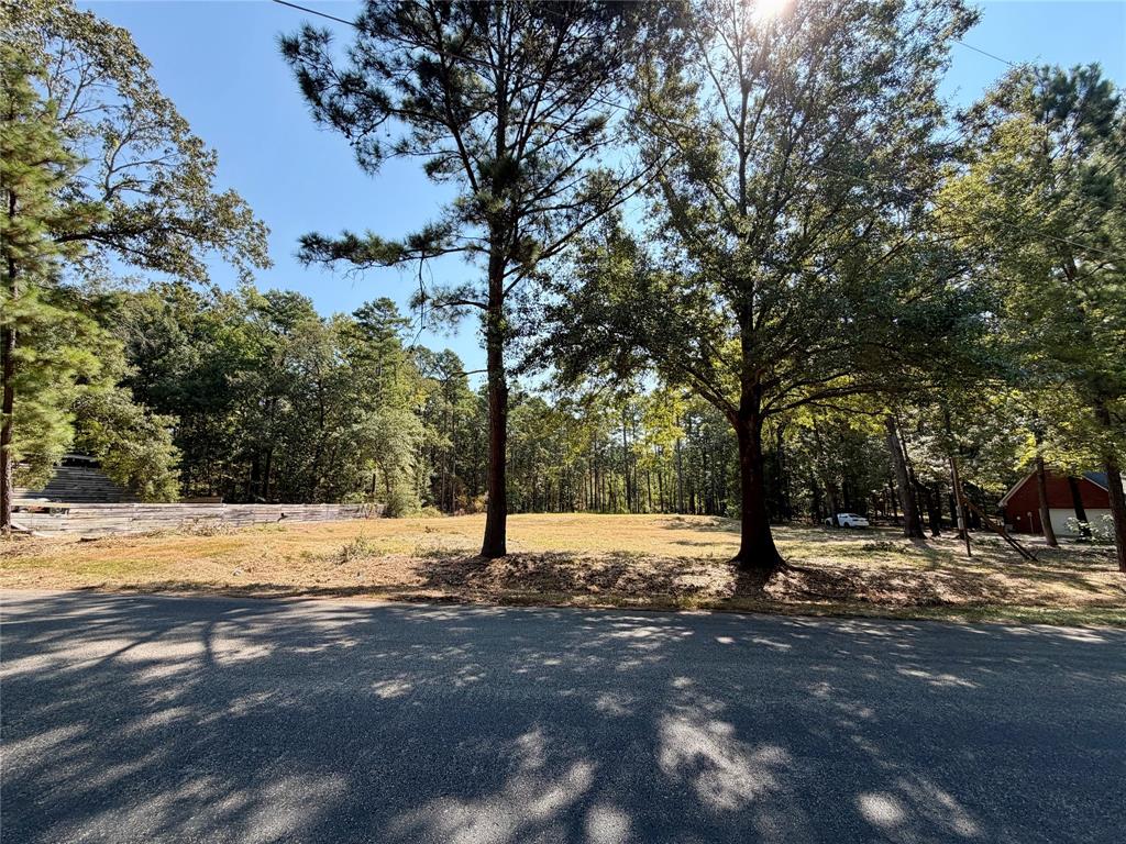 18084 Deer Trail, Flint, TX 75762