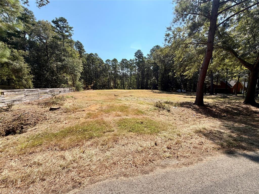18084 Deer Trail, Flint, TX 75762