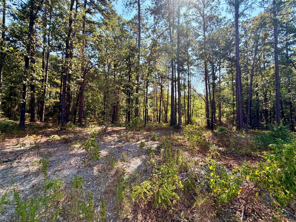 18084 Deer Trail, Flint, TX 75762