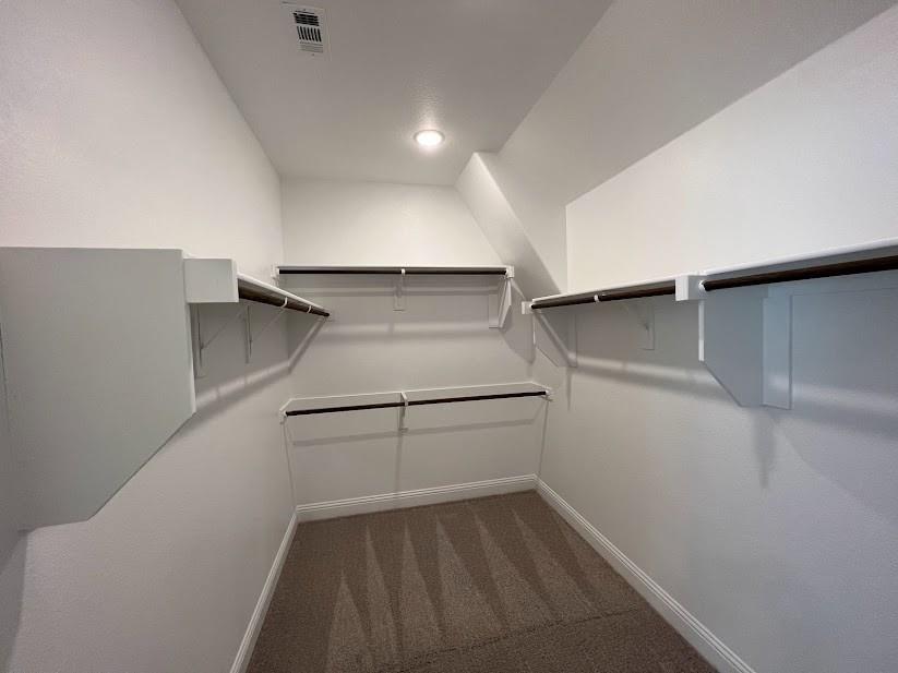 Walk-in closet featuring carpet flooring, built-in shelving, and hanging rods