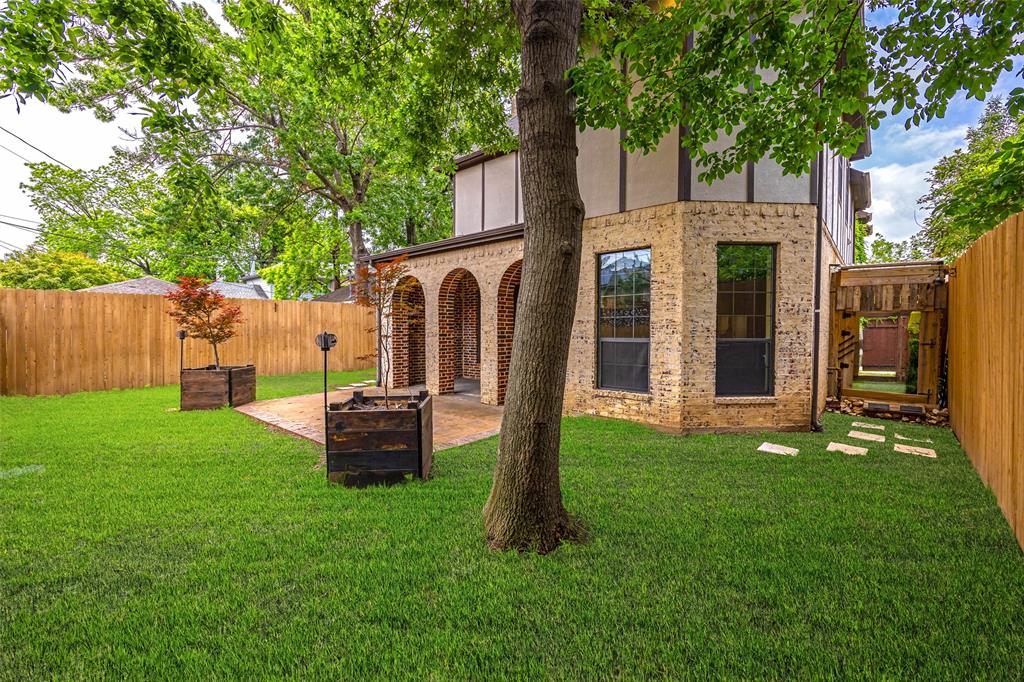 Back Yard